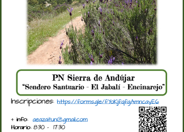 Cartel PN Andújar 22 nov