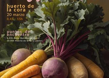 Cartel Jornada Biodiversidad