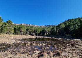 foto laguna orcera9