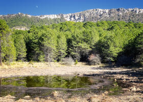 foto laguna orcera7