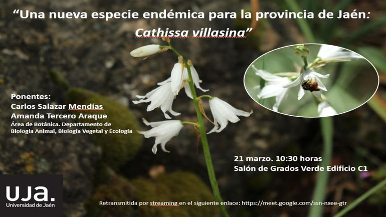 Cartel conferencia nueva especie botánica