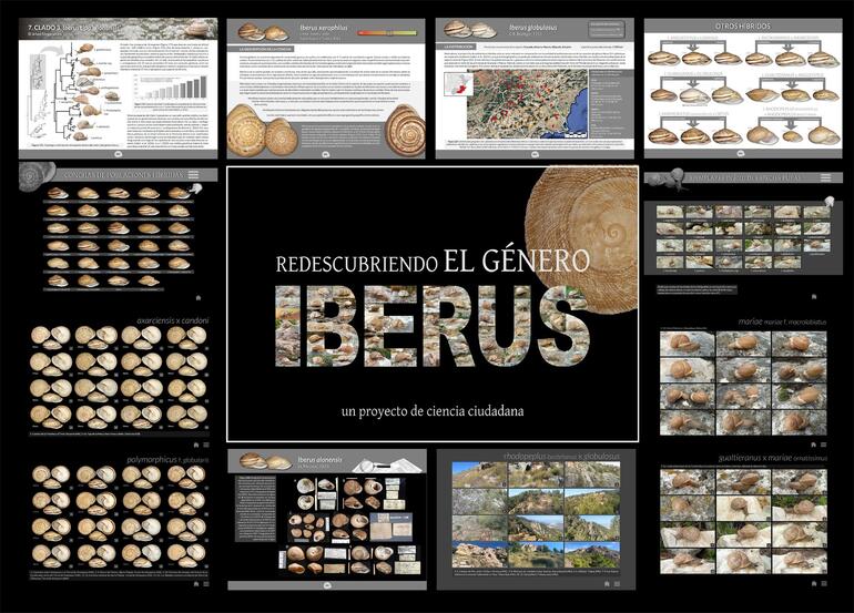 imagen enciclopedia genero iberus