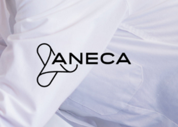 logo aneca