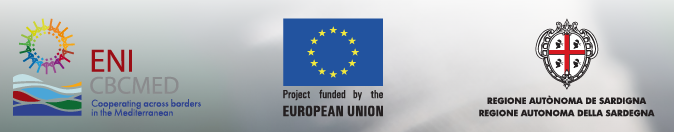 Logos programa financiador