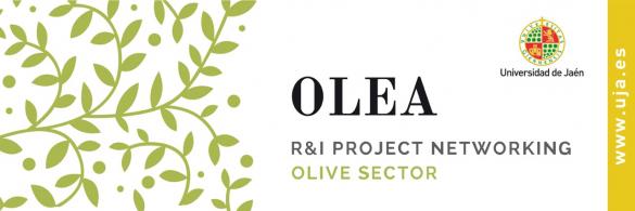 Poster: OLEA R&I Project Networking Olive Sector. Universidad de Jaén.