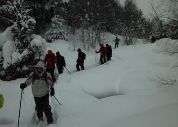 raquetas de nieve en la UJA