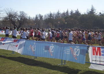 Campeonato de España Universitario de Campo a través