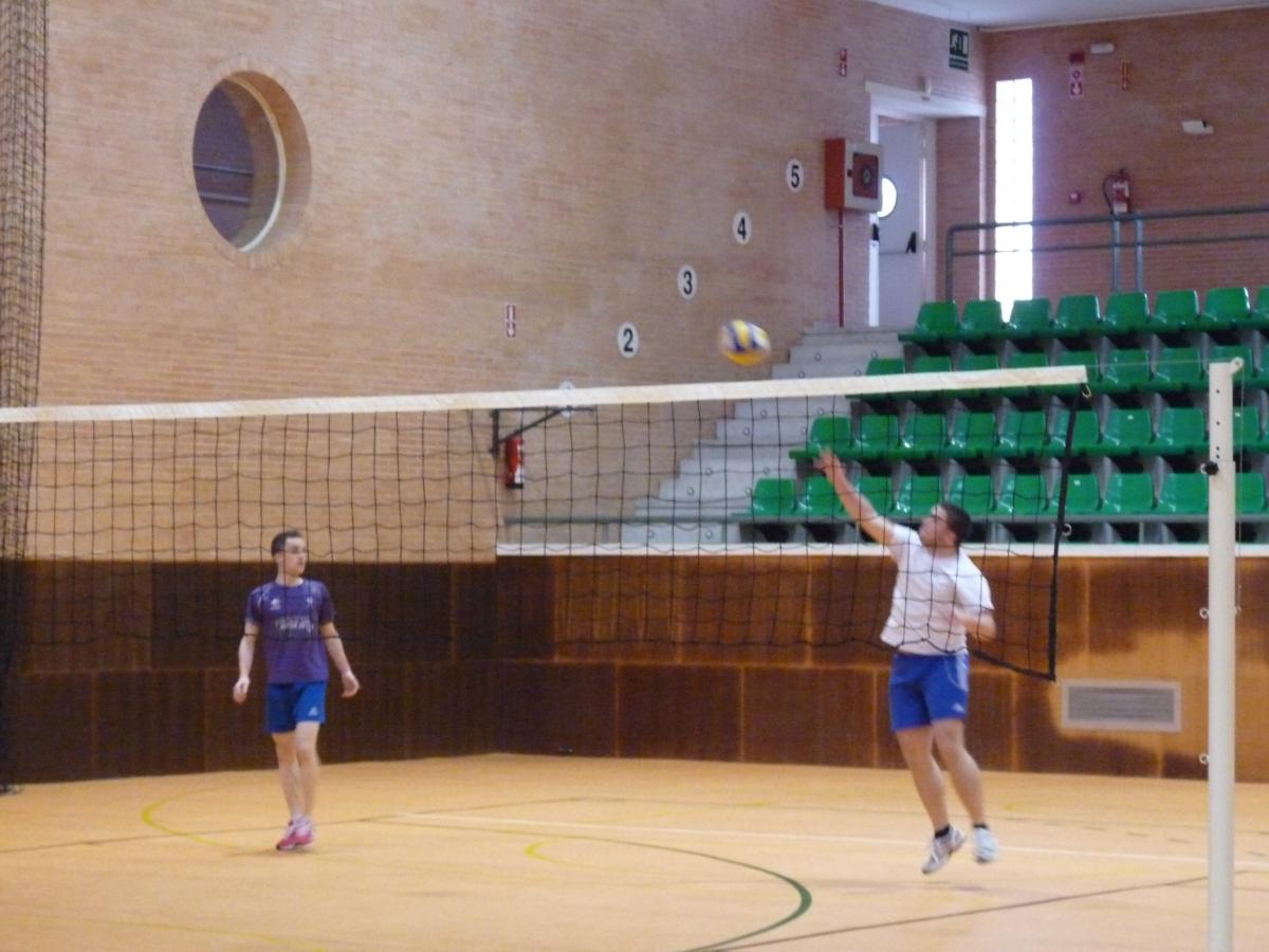 tenis de mesa imagen 3