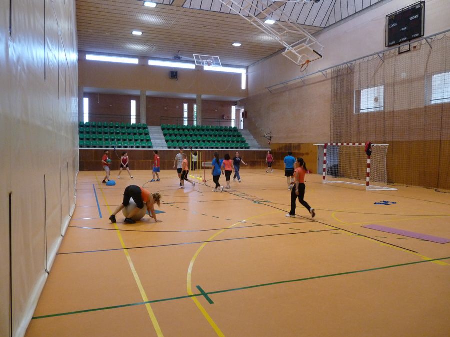 actividad de fitball