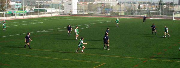 liga de invierno del pas