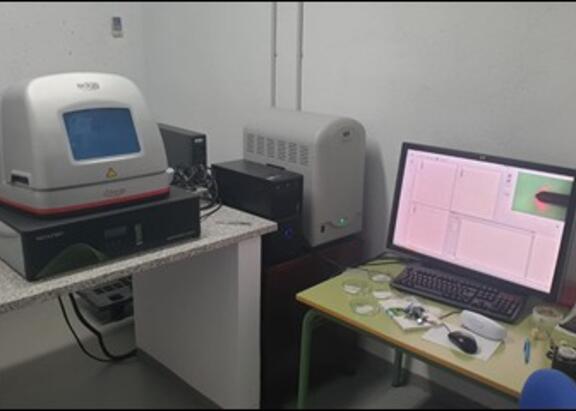 Microscopio AFM BRUKER Dimension EDGE