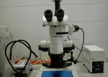 MP04-Microscopio estereoscópico