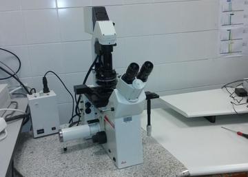 MP07-Microscopio invertido de fluorescencia 2