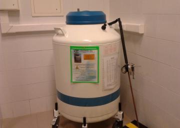 PT07-Contenedor de nitrogeno líquido para criotubos