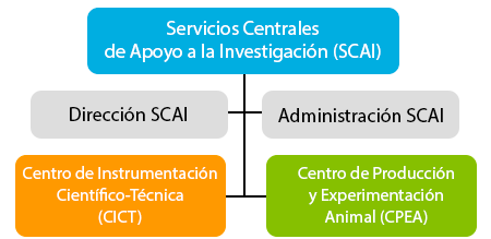 Organización SCAI