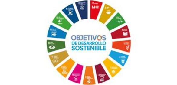 Cuerpo Europeo de Solidaridad. Voluntariado Internacional/europeo