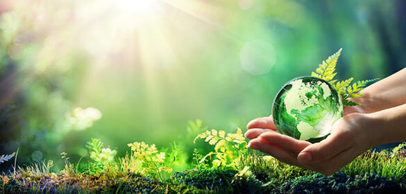 Unas manos sostienen una bola del mundo de cristal sobre un fondo cubierto por vegetación