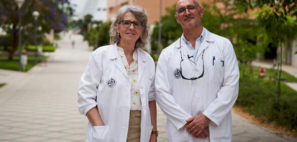 Proyecto Síntesis de inhibidores de lactato deshidrogenasa A optimizados