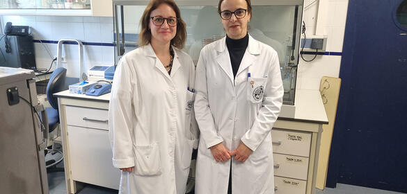 Investigadoras de la Universidad de Jaén han descubierto unas bacterias que pueden ayudar a luchar contra la Xylella fastidiosa