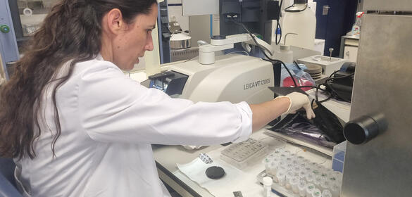 La investigadora Ramón y Cajal de la UJA, Clara Ortega, en su laboratorio