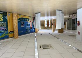 Planta baja C4 con exposición 