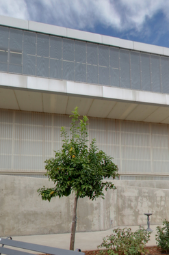 POLIDEPORTIVO LINARES