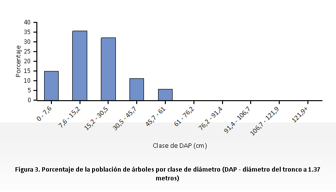 Árboles por diámetro