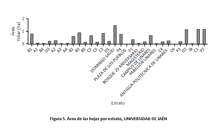 Distribución del arbolado UJA por superficie foliar