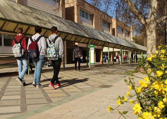 La Universidad de Jaén oferta para el curso académico 2020-2021 un total de 2.907 plazas de alumnado de Grado, 1.585 de Máster y 219 de Doctorado