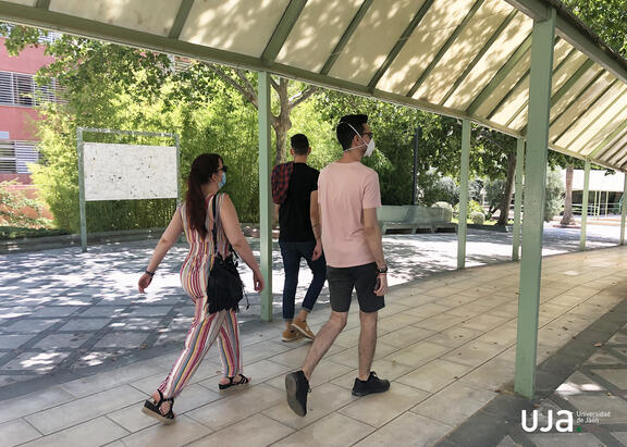 El Consejo de Gobierno de la UJA aprueba el Plan de Organización Docente para el curso 2020-2021, adaptado al escenario del Covid-19