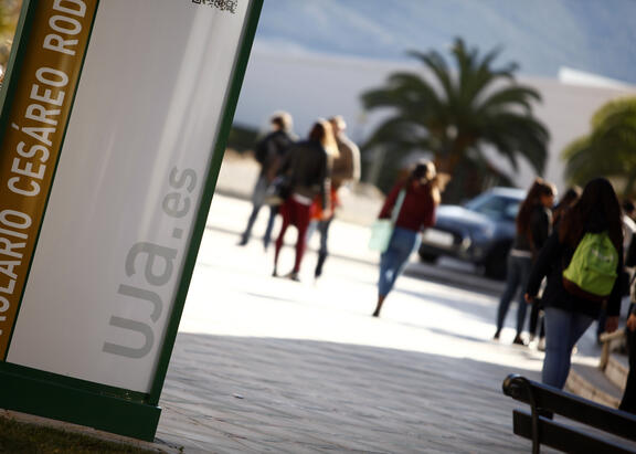 El Instituto de Estudios Giennenses (IEG) de la Diputación Provincial de Jaén ha concedido un total de 15 proyectos de Investigación a la Universidad de Jaén (UJA), por un valor de 59.600 euros.