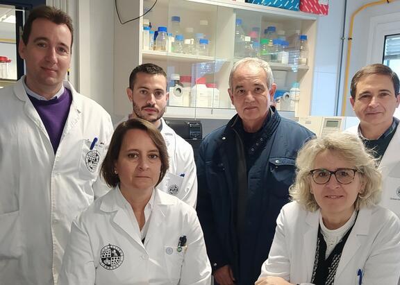 Equipo de investigación que participa en el estudio.