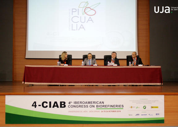 Momento de la inauguración del 4º Congreso Iberoamericano de Biorrefinerías