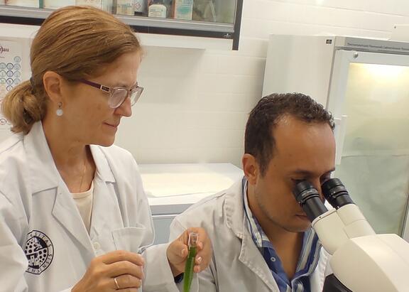 Equipo de investigadores del Departamento de Ingeniería Química, Ambiental y de los Minerales de la UJA que ha participado en este estudio