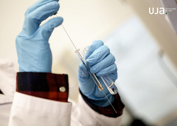 Estos proyectos abarcan las áreas de ciencias experimentales, ciencias de la salud, psicología e ingeniería.