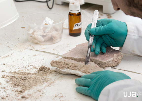 El IEG subvenciona 27 proyectos de investigación de la UJA.