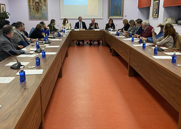 Momento del Consejo Social de la UJA, celebrado hoy.
