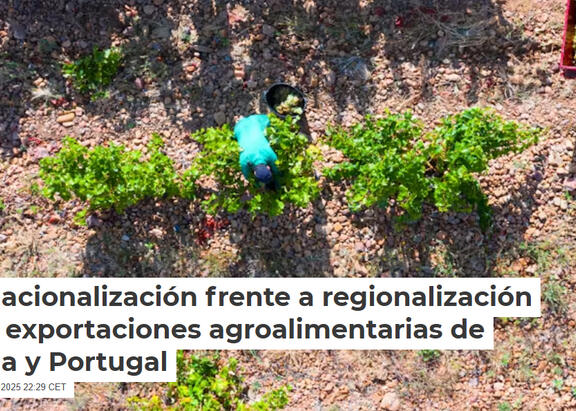 Imagen de portada del artículo publicado por The Conversation: Vendimia en La Rioja (España). Juan Carlos Muñoz/Shutterstock