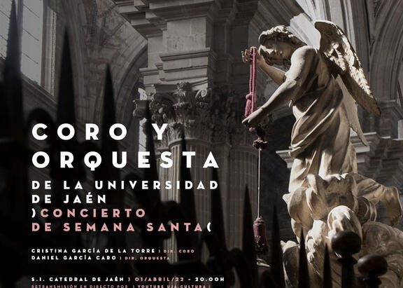 Cartel de la actividad