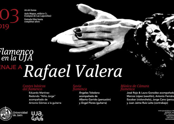 Cartel del concierto