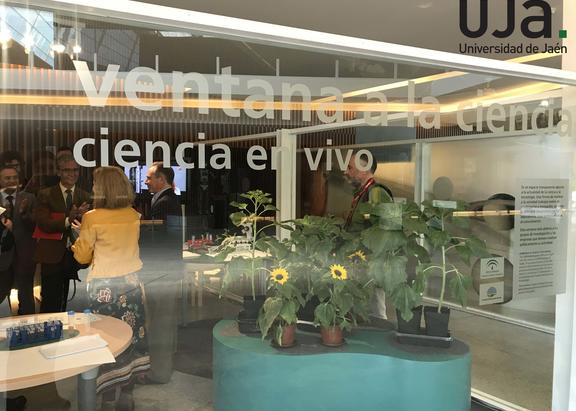 El Vicerrector de Investigación de la UJA y el investigador Juan Bautista Barroso asistieron a la inauguración del espacio en la 'Ventana de la Ciencia'