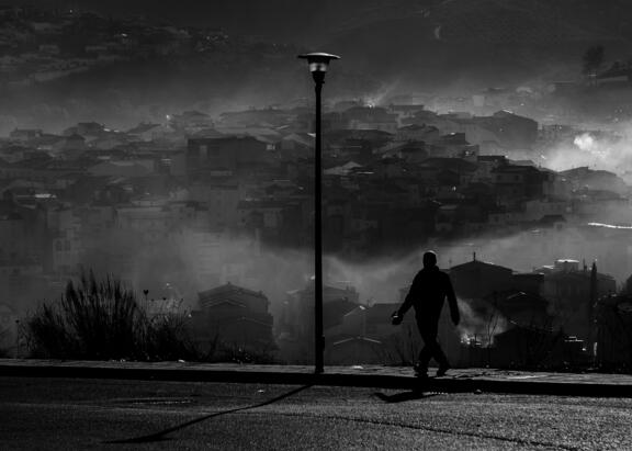 'Volver a la raíz', primer premio en la modalidad de Fotografía.