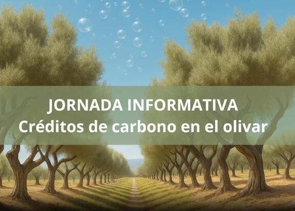 Jornada informativa ‘Créditos de carbono: una excusa para diseñar el olivar del futuro’