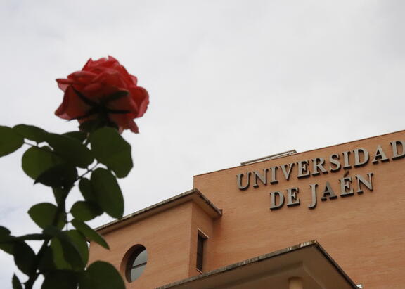 Imagen del Campus Las Lagunillas. Foto: Laura Puentes.
