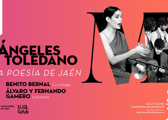 Cartel del concierto