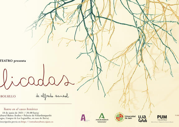 Cartel de la actividad.