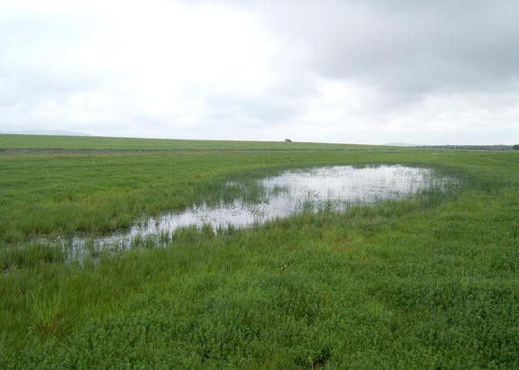 Laguna de Perales, en Montizón (Jaén). Foto: Francisco Guerrero.