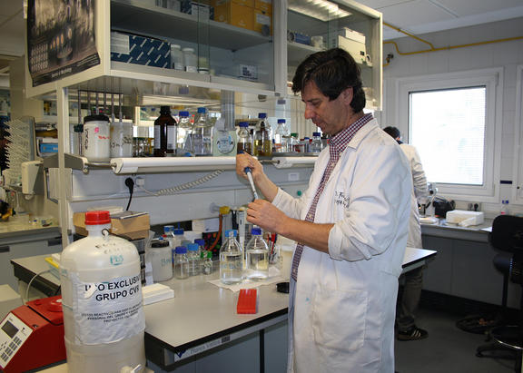 El investigador Diego Franco, en una imagen de archivo en su laboratorio.