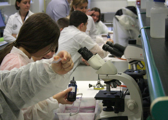 Uno de los talleres organizados en el marco de la Semana de la Ciencia de la UJA.