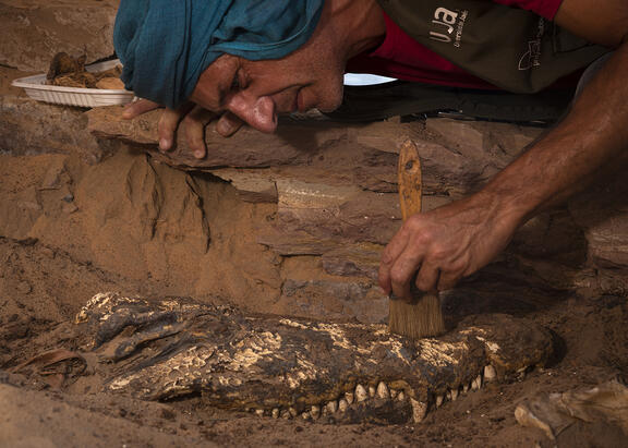 Trabajos arqueológicos en la tumba de la necrópolis de Qubbet el-Hawa. Foto: Patricia Mora.